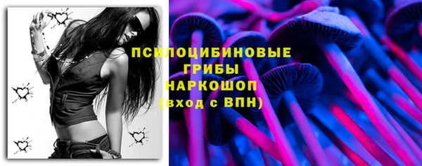 спайс Алексин