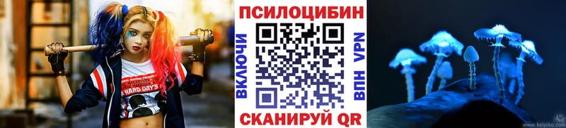 цены наркотик  Скопин  Псилоцибиновые грибы мицелий 